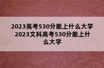 2023高考530分能上什么大学 2023文科高考530分能上什么大学